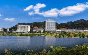 Office2016/2019/365都有什么区别？哪个Office版本好