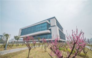 云南高考多少分能考上湖北师范大学？附2022-2024年院校最低投档线