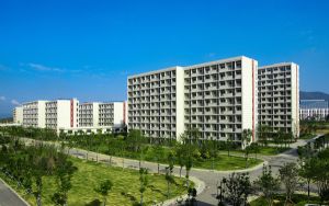 Google助手的新工作日常规可以帮助您更好地在家工作