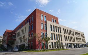 淘宝商城和淘宝有什么区别_淘宝商城和淘宝网的区别