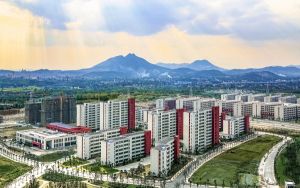 麻辣江湖怎么样_《麻辣江湖》之10大职业分析篇