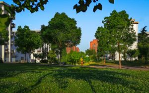 2021支付宝哪个福字容易出敬业福_2021支付宝敬业福福字图片大全 快吧手游