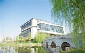 路由器与猫的连接图解不用电脑_路由器与猫的连接
