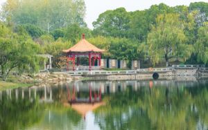 怎么安装声卡_怎么安装声卡