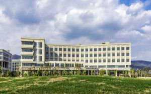 巫师3悍卫信仰任务怎么做不了_巫师3悍卫信仰任务怎么做
