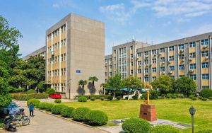 九阴真经奇遇奖励对照表_《九阴真经》新奇遇任务攻略