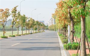 我的e家路由器ip_我的e家 路由器