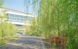 电脑显示屏不显示了怎么回事_电脑显示屏不显示