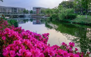 电脑黑屏怎么回事还有声音_电脑黑屏怎么回事