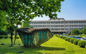 初学摄影买什么相机好_摄影爱好者新手应该买什么相机