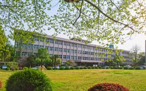 为什么每个人都会喜欢15英寸的MacBookAir