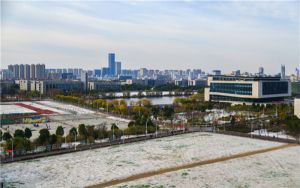 网线水晶头排线可以随便排吗_网线水晶头排线