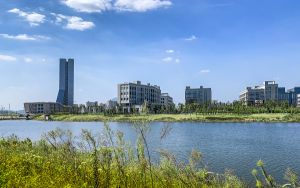 步步高x510t是4g手机吗_步步高x510t