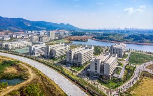 招商银行网上支付功能怎么开通_招商银行网上支付