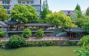 iqoo手机内存不足怎么清理_手机内存不足怎么清理
