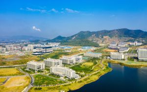 torrent文件怎么在线播放_torrent文件怎么打开