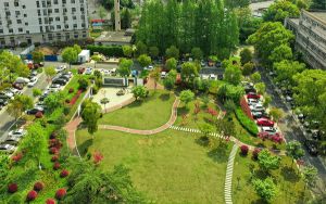 苹果id被停用怎么恢复_苹果id被停用