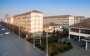 小米2s手机系统_小米2S是什么系统的及-
