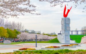 网络游戏名字大全集_网络游戏名字大全