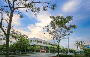 verizon的大红色促销在智能手机上提供50%的折扣